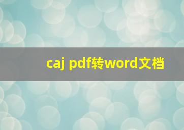 caj pdf转word文档